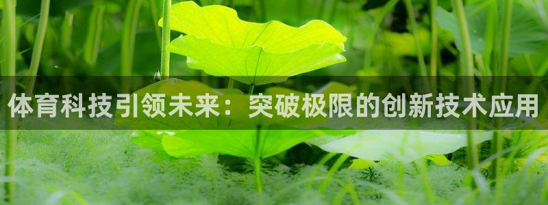 体育科技引领未来：突破极限的创新技术应用