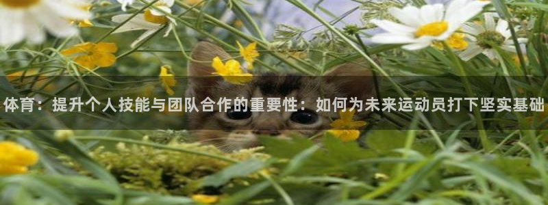 体育：提升个人技能与团队合作的重要性：如何为未来运动员打下坚实基础
