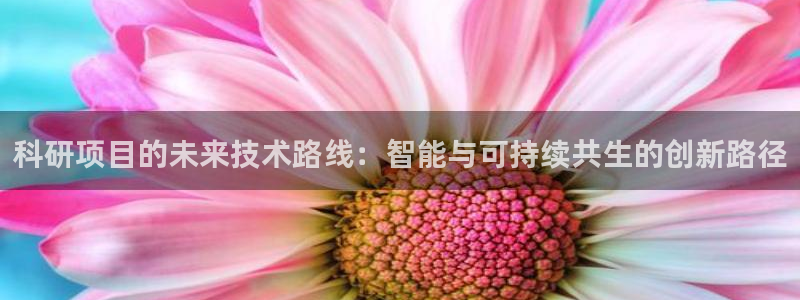 科研项目的未来技术路线：智能与可持续共生的创新路径